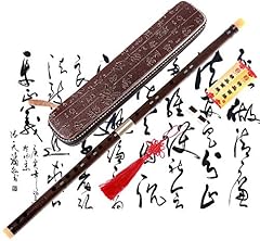 Professional flute nicoshine for sale  Delivered anywhere in UK