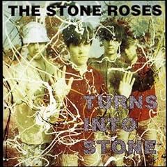 Turns stone for sale  Delivered anywhere in UK