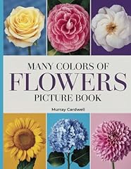 Many colors flowers for sale  Delivered anywhere in USA 