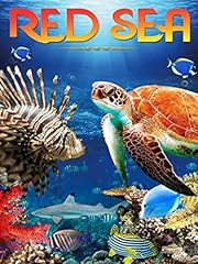 Red sea for sale  Delivered anywhere in UK