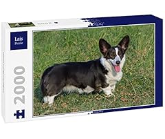 Lais jigsaw puzzle for sale  Delivered anywhere in UK