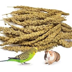Kathson spray millet for sale  Delivered anywhere in USA 