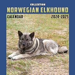 Norwegian elkhound collection for sale  Delivered anywhere in UK