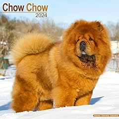 Chow chow 2024 gebraucht kaufen  Wird an jeden Ort in Deutschland