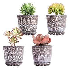 Gepege succulent pots for sale  Delivered anywhere in USA 