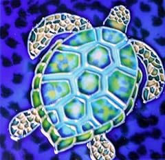 Turtle hand painted for sale  Delivered anywhere in USA 