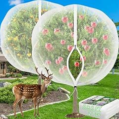 Large fruit trees for sale  Delivered anywhere in USA 