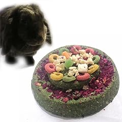Danshare rabbit chewing for sale  Delivered anywhere in USA 
