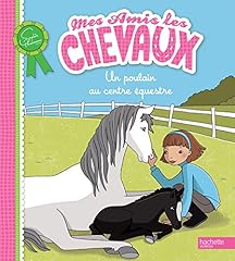 Poulain centre équestre d'occasion  Livré partout en Belgiqu