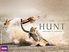 Hunt for sale  Delivered anywhere in UK