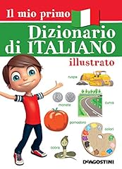 Mio primo dizionario usato  Spedito ovunque in Italia 