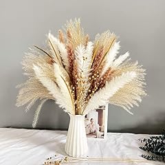 90pcs natural pampas for sale  Delivered anywhere in UK