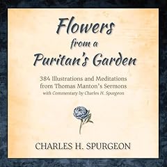 Flowers puritan garden for sale  Delivered anywhere in UK