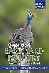 Guinea fowl backyard for sale  Delivered anywhere in USA 