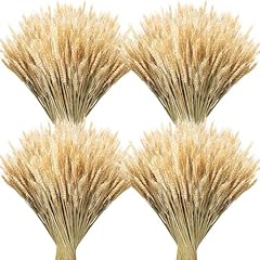 Geosar 600 stems for sale  Delivered anywhere in USA 