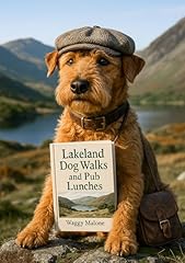 Larry lakeland terrier for sale  Delivered anywhere in UK