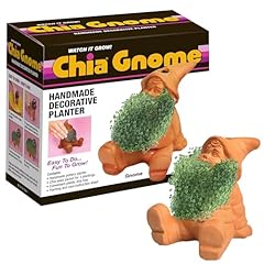 Chia pet gnome for sale  Delivered anywhere in USA 