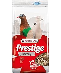 Versele laga prestige usato  Spedito ovunque in Italia 