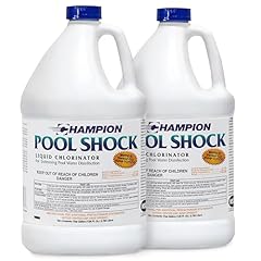 Champion pack pool for sale  Delivered anywhere in USA 