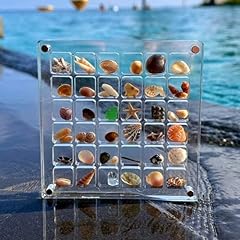 Acrylic magnetic seashell gebraucht kaufen  Wird an jeden Ort in Deutschland