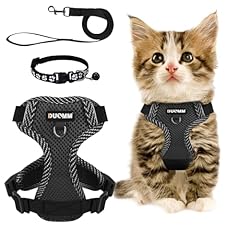 Katzengeschirr leine set gebraucht kaufen  Wird an jeden Ort in Deutschland