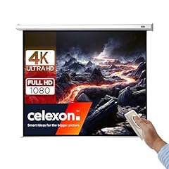 Celexon leinwand motor usato  Spedito ovunque in Italia 