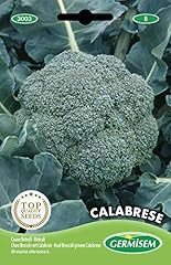 Germisem calabrese semi usato  Spedito ovunque in Italia 