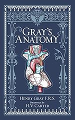 Gray anatomy d'occasion  Livré partout en France