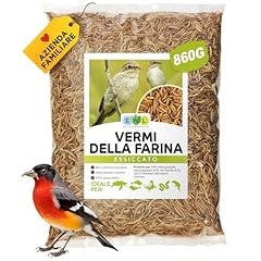 Vermi farina essiccati usato  Spedito ovunque in Italia 