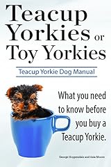 Teacup yorkies toy usato  Spedito ovunque in Italia 