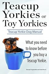 Teacup yorkies toy for sale  Delivered anywhere in UK