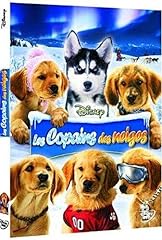 Copains neiges d'occasion  Livré partout en France