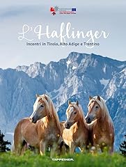 Haflinger incontri tirolo usato  Spedito ovunque in Italia 