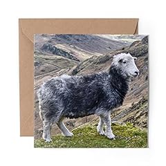 Greeting card herdwick for sale  Delivered anywhere in Ireland