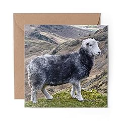 Greeting card herdwick for sale  Delivered anywhere in UK
