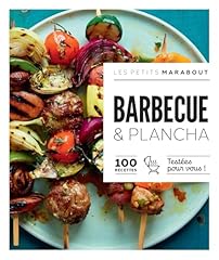 Barbecue plancha petits d'occasion  Livré partout en Belgiqu