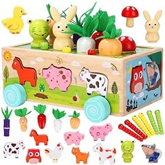 Birshe montessori giocattoli usato  Spedito ovunque in Italia 