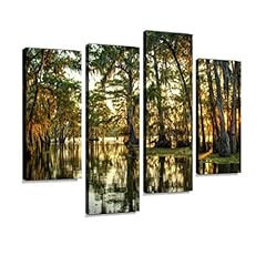 Louisiana swamp canvas for sale  Delivered anywhere in USA 