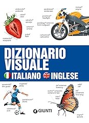 Dizionario visuale. italiano usato  Spedito ovunque in Italia 