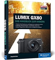 Lumix gx80 100 gebraucht kaufen  Wird an jeden Ort in Deutschland