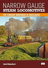 Narrow gauge steam for sale  Delivered anywhere in UK