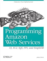 Programming amazon web for sale  Delivered anywhere in USA 