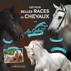 Galop belles races d'occasion  Livré partout en France