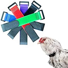 Pack crow rooster for sale  Delivered anywhere in USA 