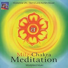 Milz chakra meditation gebraucht kaufen  Wird an jeden Ort in Deutschland