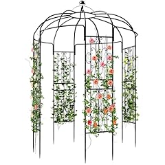Yitahome birdcage shape for sale  Delivered anywhere in USA 