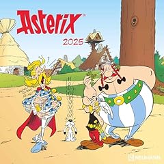 Asterix 2025 wand d'occasion  Livré partout en France