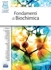Fondamenti biochimica usato  Spedito ovunque in Italia 