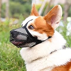 Crazy felix dog for sale  Delivered anywhere in USA 