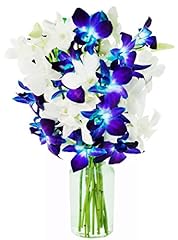 Kabloom flowers starry for sale  Delivered anywhere in USA 